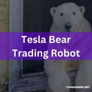 The Tesla Bear Trading Robot revolutionizes trading with its focus on risk management and consistent profits, utilizing smart indicators and optimized strategies for eurusd and xauusd pairs. This automated system eschews risky tactics for a stable and profitable trading experience.