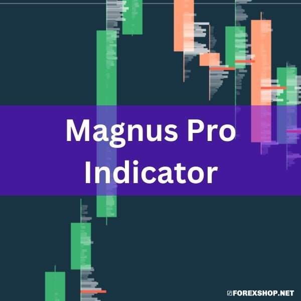 Unlock the power of Magnus PRO - the ultimate MetaTrader 4 indicator. With 86-91% WinRate, 50+ signals per day, and no redrawing, it's a game-changer for traders. Get accurate trading signals and maximize your profits. Get Magnus PRO now!