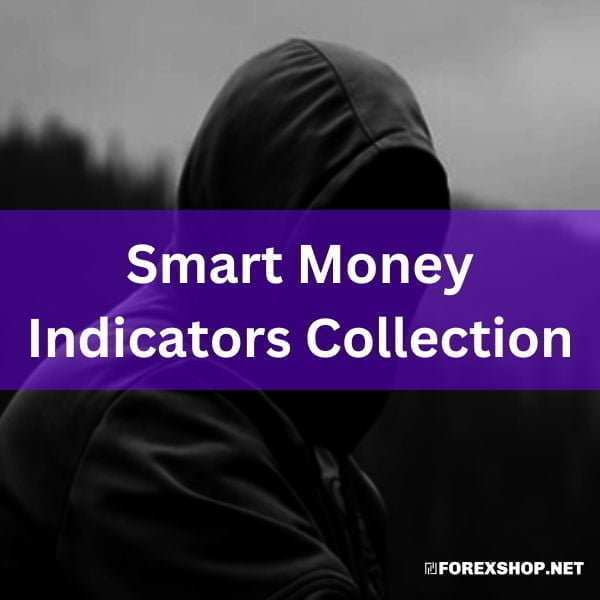 Elevate your trades with this 8-pack of Smart Money Indicators. Get alerts for Order Blocks, Fair Value Gaps, and more. Customizable & user-friendly.