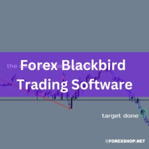 Forex Blackbird: Advanced trading robot for funds & prop firms. Ensures stability, rapid challenges & efficient risk management. Elevate trading now.