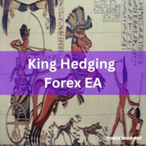 King Hedging Forex EA: Dual-action trading tool targeting 20-point deals. Optimal on 5-min charts with 1:400 leverage. Elevate your forex strategy.