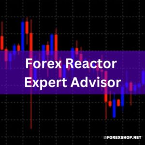 Reactor Scalper EA offers advanced, safe Forex trading with a user-friendly interface and automatic compounding, minus high-risk strategies.