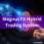 Magnus FX Hybrid Trading System