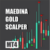 Forex Maedina Gold Scalper 7.1